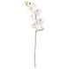IKEA SMYCKA Штучна квітка, Орхідея/білий, 60 см 80333585 фото 1