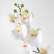 IKEA SMYCKA Штучна квітка, Орхідея/білий, 60 см 80333585 фото 3