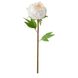 IKEA SMYCKA Штучна квітка, Півонія/білий, 30 см 80409783 фото 1