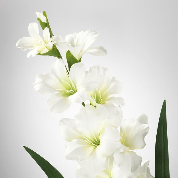 IKEA SMYCKA Штучна квітка, Гладіолуси/білий, 100 см 30333583 фото