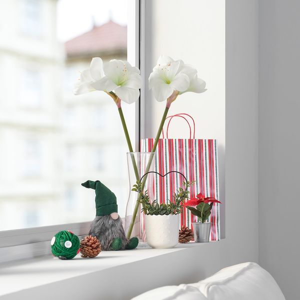 IKEA VINTERFINT Штучна квітка, для приміщення/на вулиці, амариліс білий, 60 см 50562154 фото