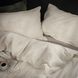 IKEA ANGSLILJA Чохол на ковдру та наволочка, світло-сіро-бежевий, 150x200/50x60 см 10490767 фото 3