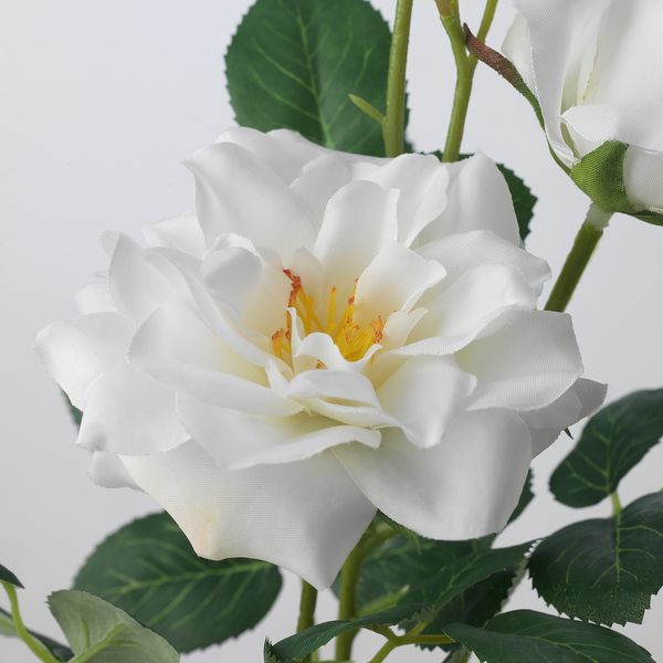 IKEA SMYCKA Штучна квітка для внутрішнього/зовнішнього використання, біла троянда, 65 см 90560148 фото