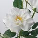 IKEA SMYCKA Штучна квітка для внутрішнього/зовнішнього використання, біла троянда, 65 см 90560148 фото 4