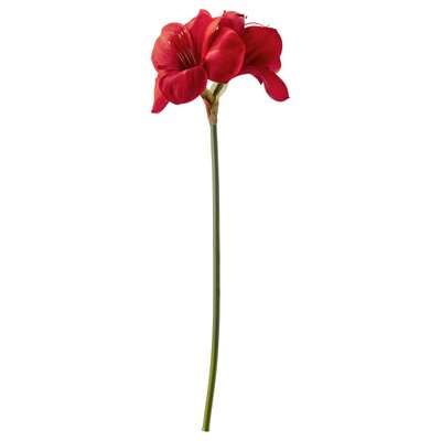 IKEA VINTERFINT Штучна квітка, для внутрішнього/зовнішнього використання, амариліс/червоний, 60 см 90562152 фото