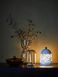 IKEA SOLSKUR Настольная лампа LED, белый/латунный цвет 10424517 фото 4