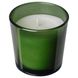 IKEA VINTERFINT Свічка ароматична у склі, Зелена пікантна насолода, 25 годин 00560874 фото 1