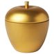 IKEA VINTERFINT Ароматична свічка в металевому контейнері, у формі яблука/Зимові яблука золотого кольору, 24 години 90555019 фото 3